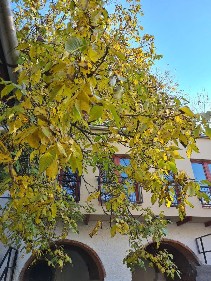 Palantir Panzio Bed & Breakfast Miskolc Eksteriør bilde